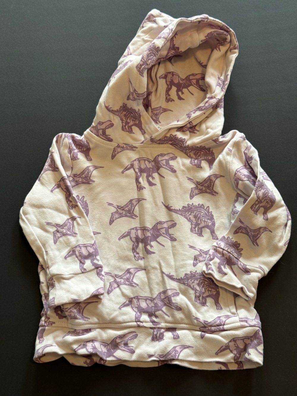 kate quinn Purple Hoodie with Dinosaur Print